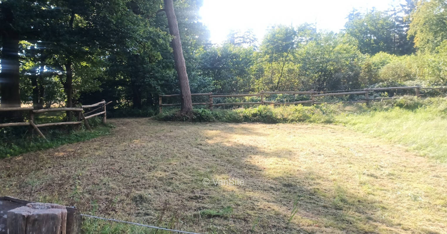 Naturidylle auf kleiner Waldlichtung