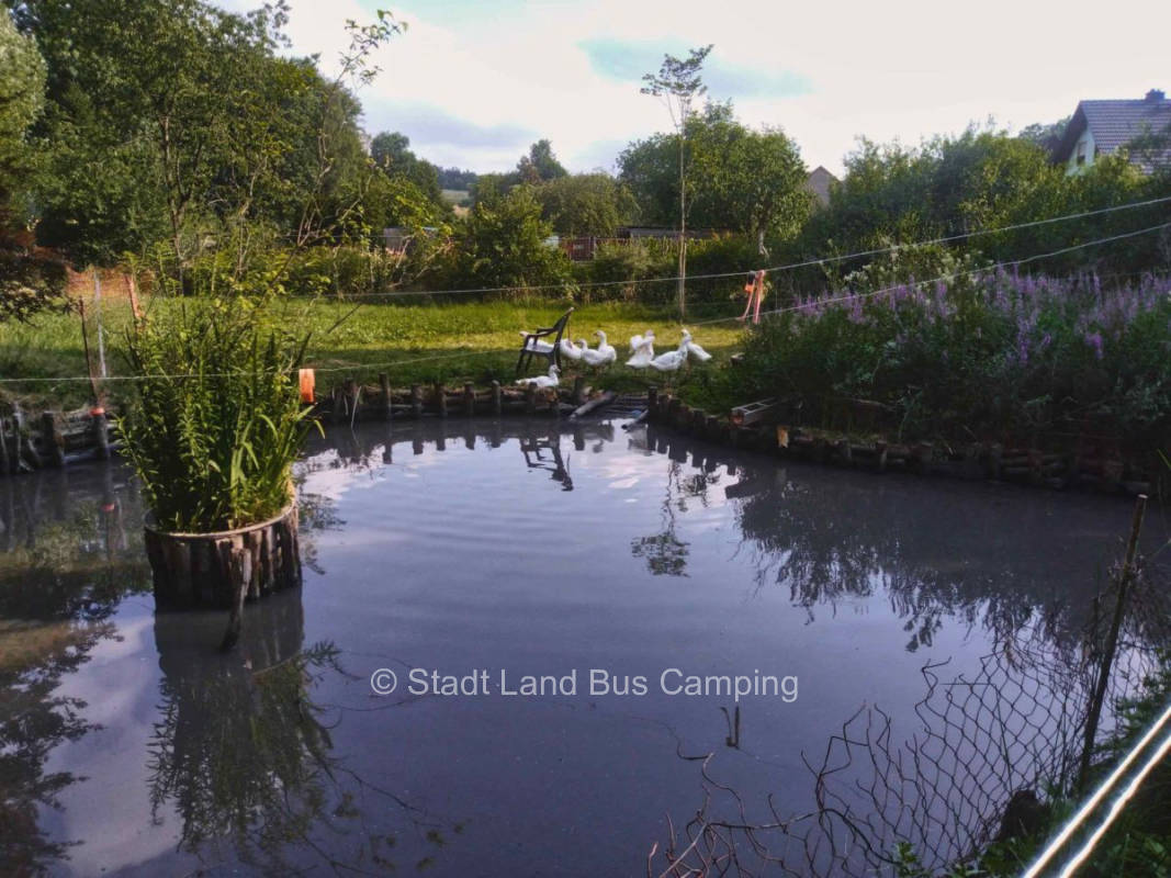 Am Gänseteich