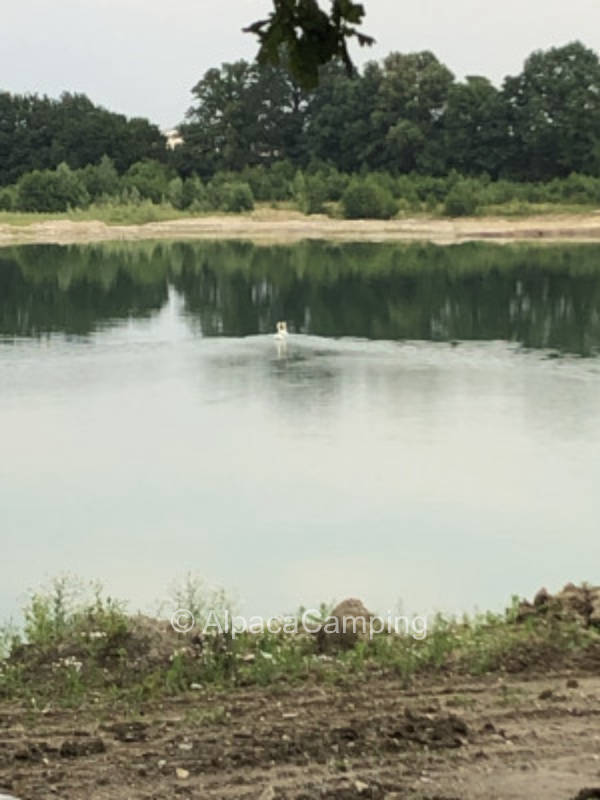 Single pitch with lake view