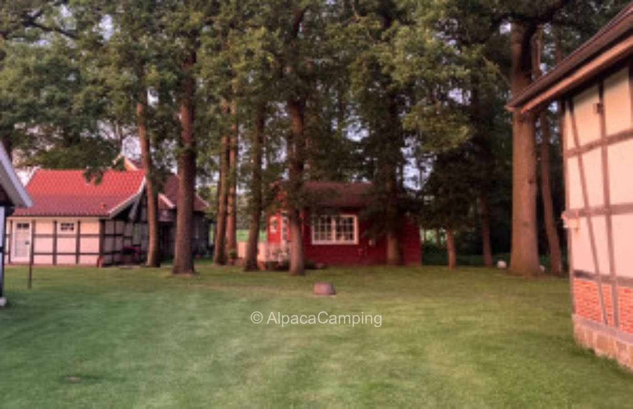 Ruhige Wiese mit angrenzender Streuobstwiese und Bachlauf #1