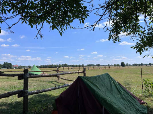Wiese, tolle Aussicht, See (Campspace 7700)