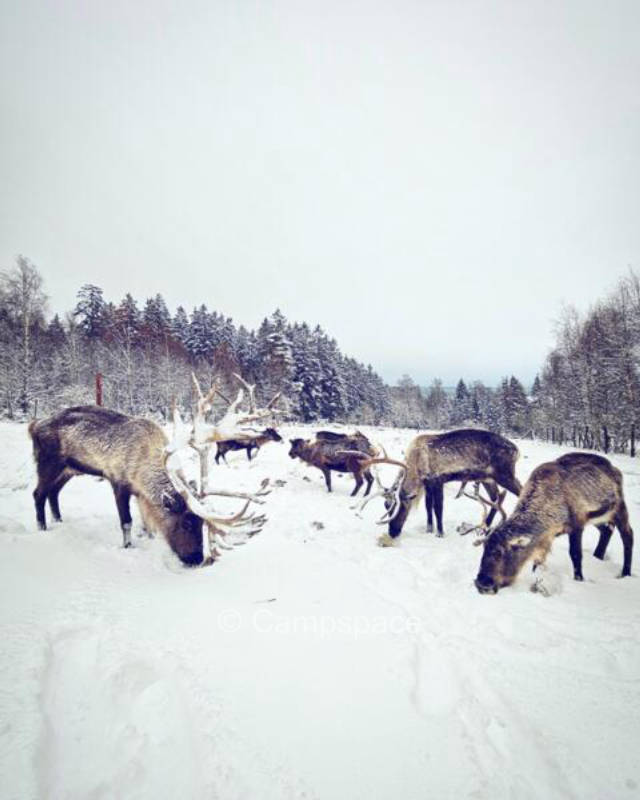 Campspace in Holzminden, Niedersachsen