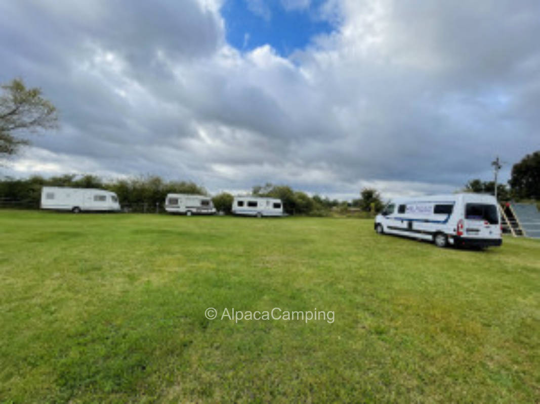 Pitch near Neustadt an der Weinstraße #3