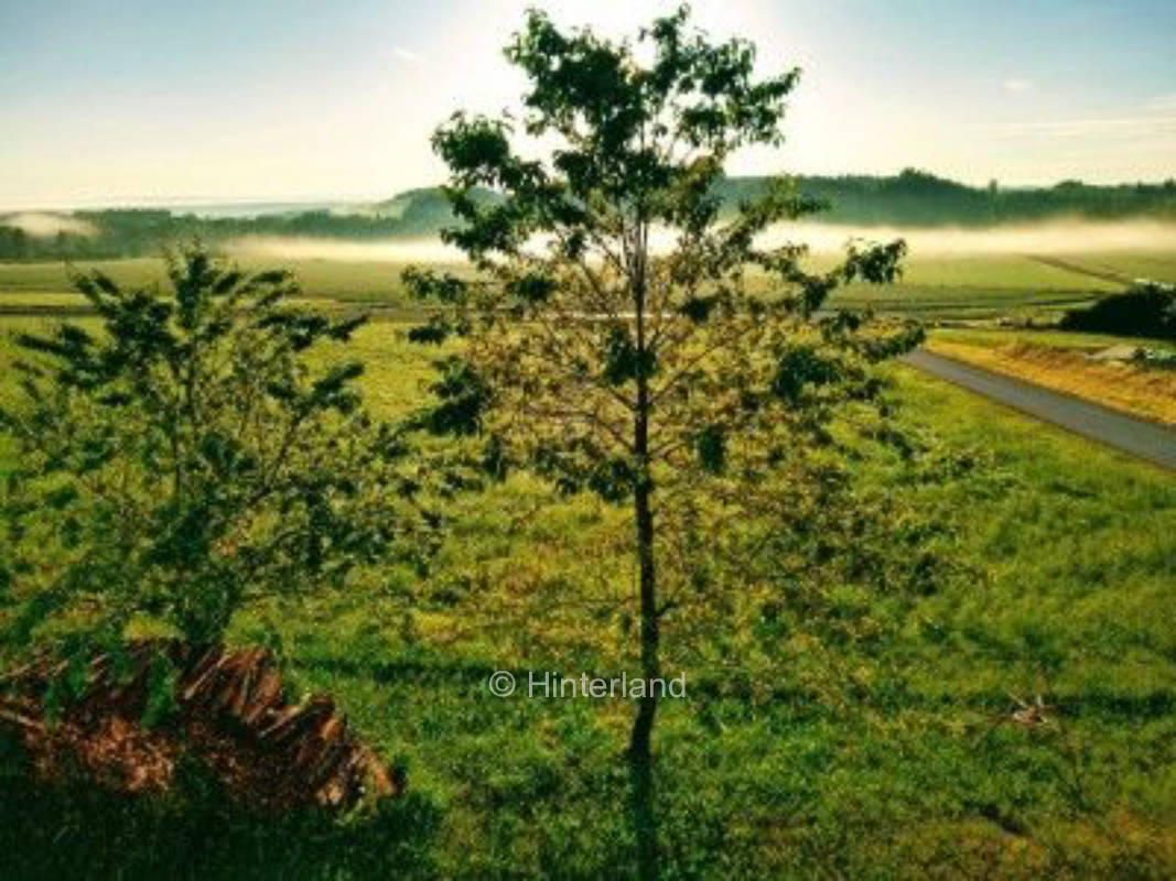 Idyllischer Camping Geheimtipp in Bayern