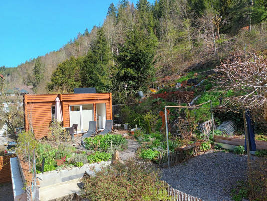 Hikers' Paradise in St. Blasien