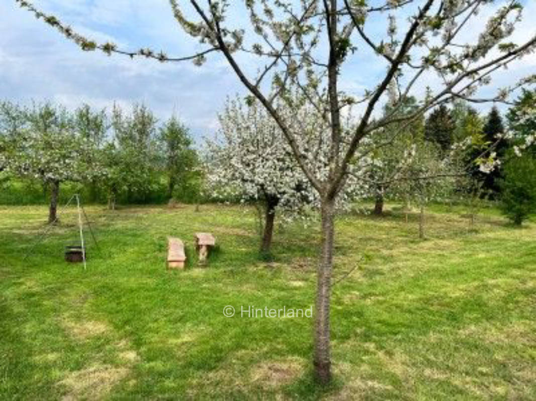 Biwakplatz und Zeltwiese im Weserbergland