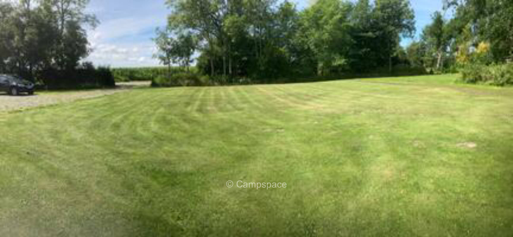 Forest camping with stream murmur