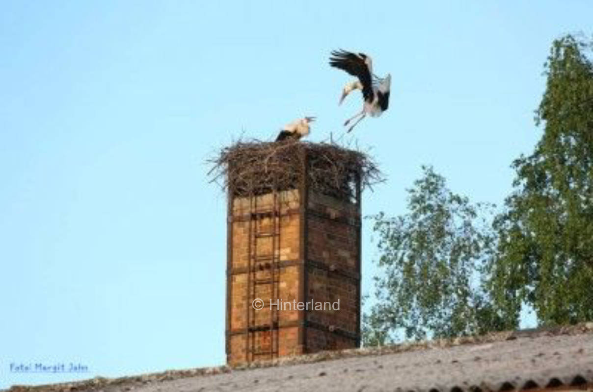 Im Osten Brandenburgs beim Storch zur Untermiete