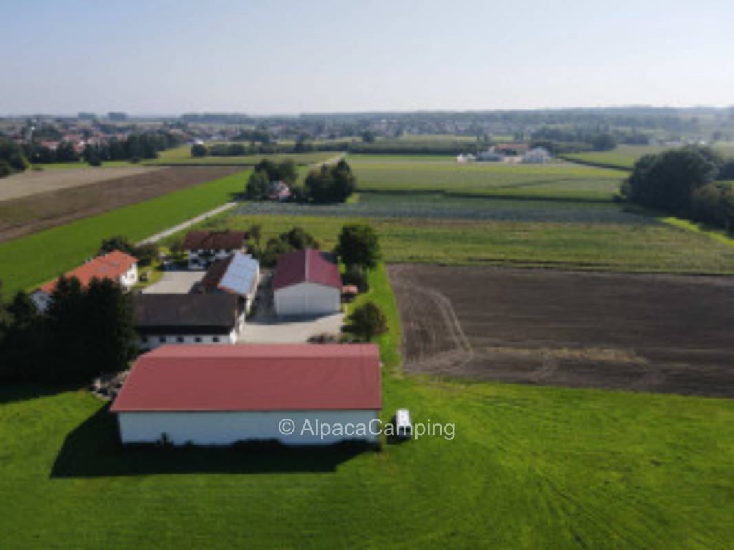 Wiese in ruhiger Lage #1