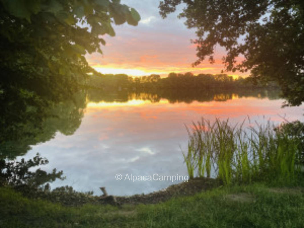 Mecklenburg Lake District - Quiet meadow at swimming lake #2
