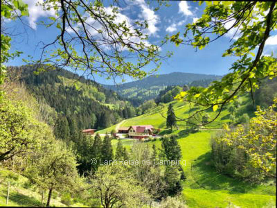 Bierpeterhof