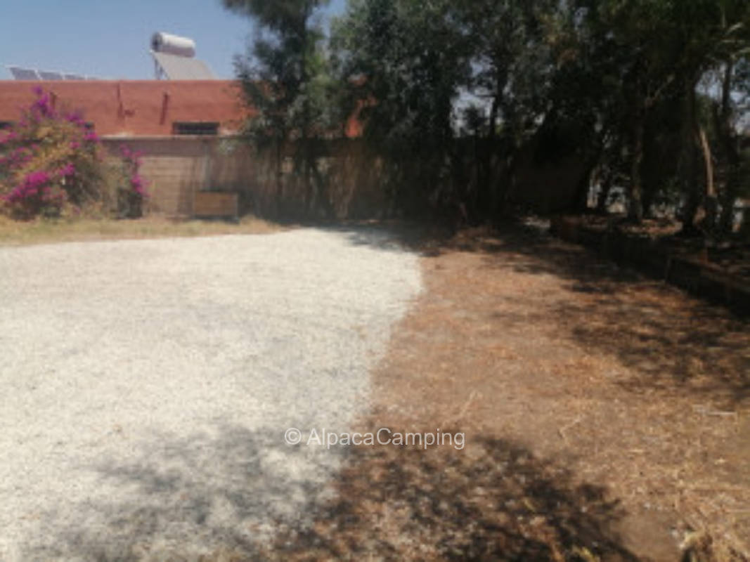 Geteilter Stellplatz La Jauja in El Palmar de Vejer de la Frontera #3