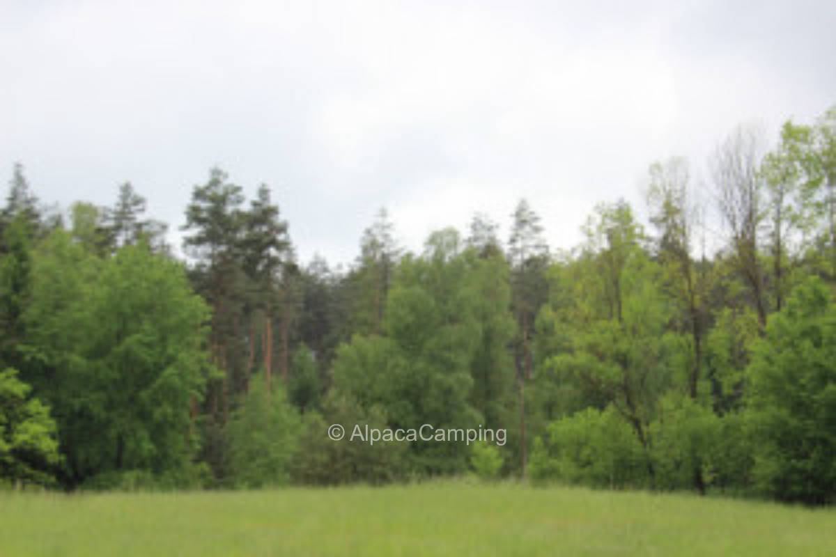 Enjoy nature in the Gründleinswustung #1