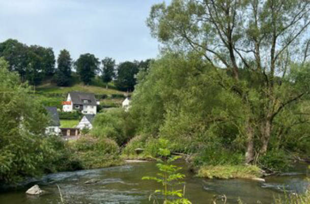 Camping Sauern Wiesen