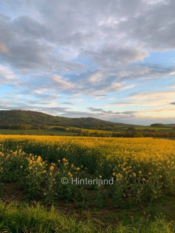 Camping am Czorneboh in der Oberlausitz 
