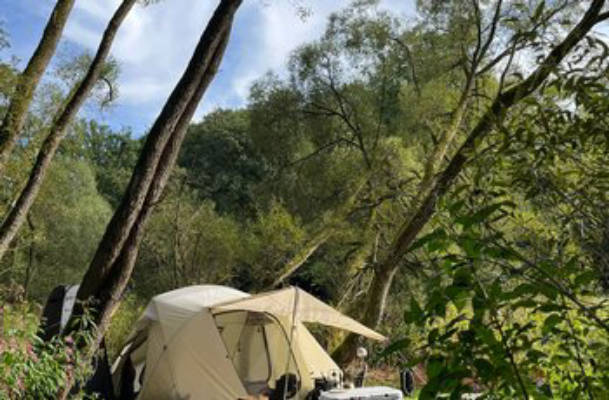 Camping Zeltplatz am kleinen Saynbach