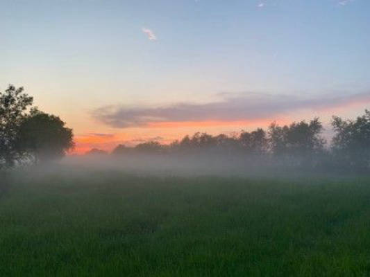 "Die stille Halle" in Friesland