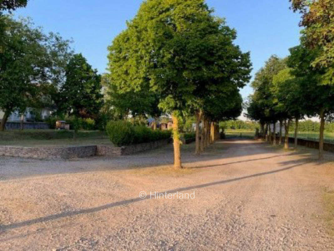 Mittendrin im Weinerlebnis