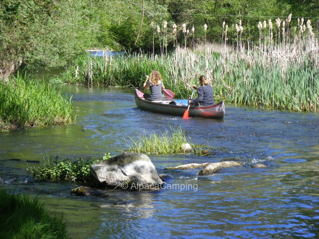AlpacaCamping 2441