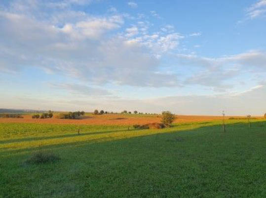 Farm in quiet secluded location with a view