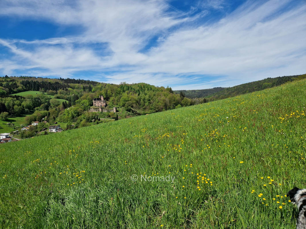 Burgruinenblick im schonen odenwald