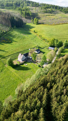 Forest and Meadow Quarter