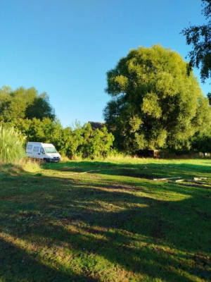 Motorhome pitch in Wendland with donkeys