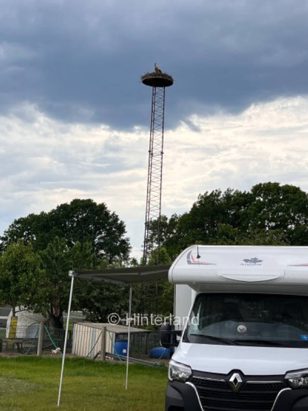 Poitou-Esel Stellplatz am Steinhuder-Meer
