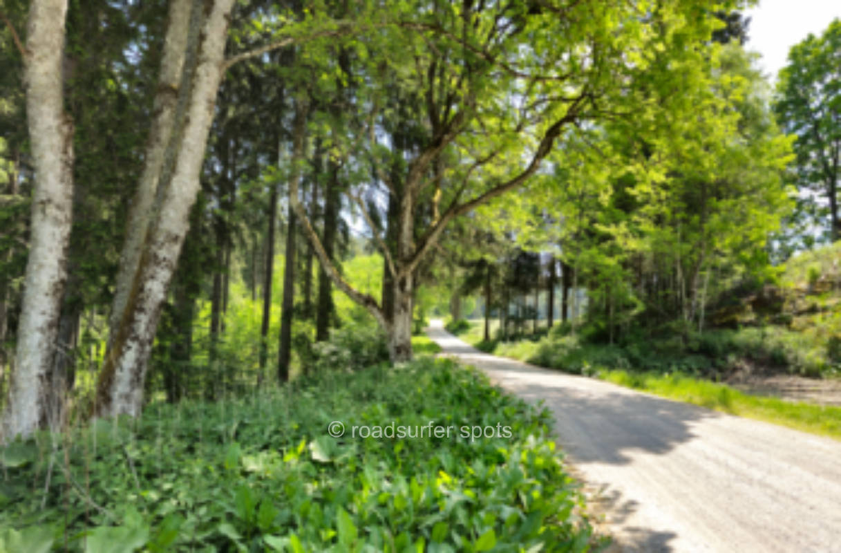 Camping mit Tannenblick