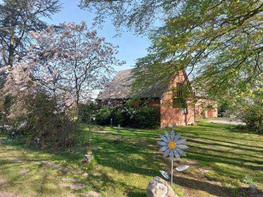 Farm Camping with Horse Stables, Stinstedt