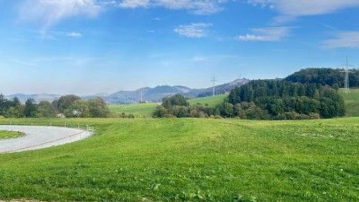 Ponyorama - Camping mit Weitblick