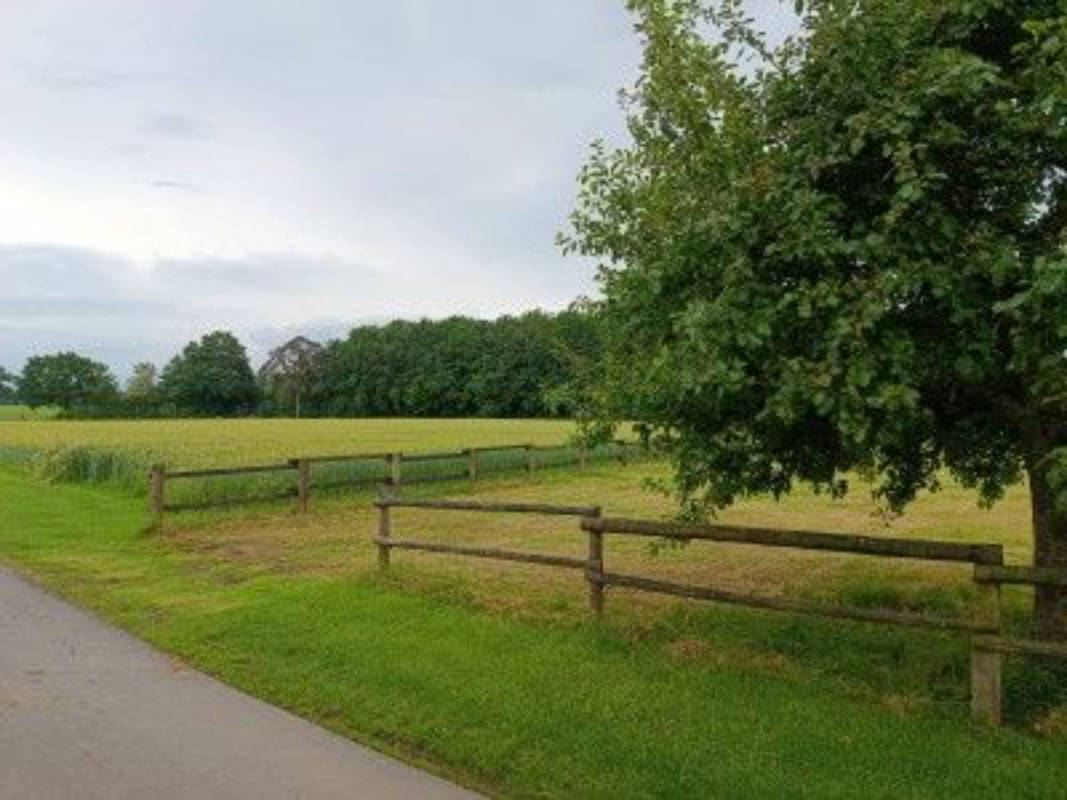 Stellplatz auf der Wiese neben den Obstbäumen 