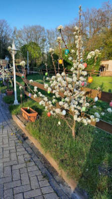 Platz für Zelt, Wohnwagen, Van, Wohnmobil (Campspace 7376)