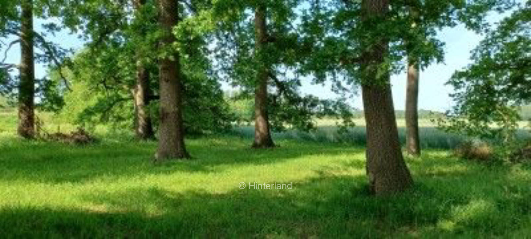 Willkommen im Konzertsaal der Natur