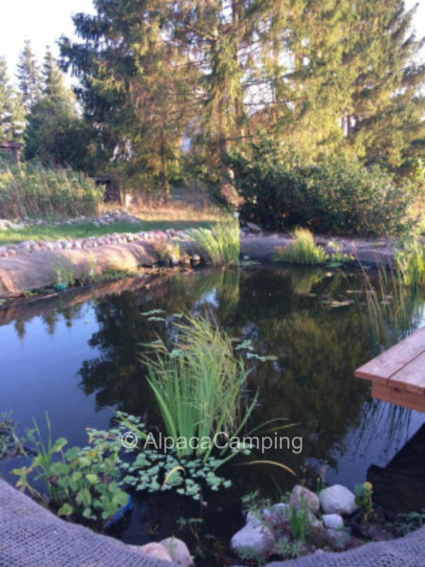 Rest and relaxation on the edge of the Feldberger Seenlandschaft #3