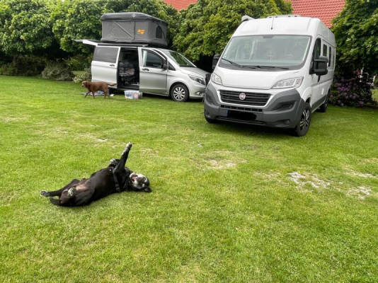 Pitch for small and large motorhomes (Campspace 3166)