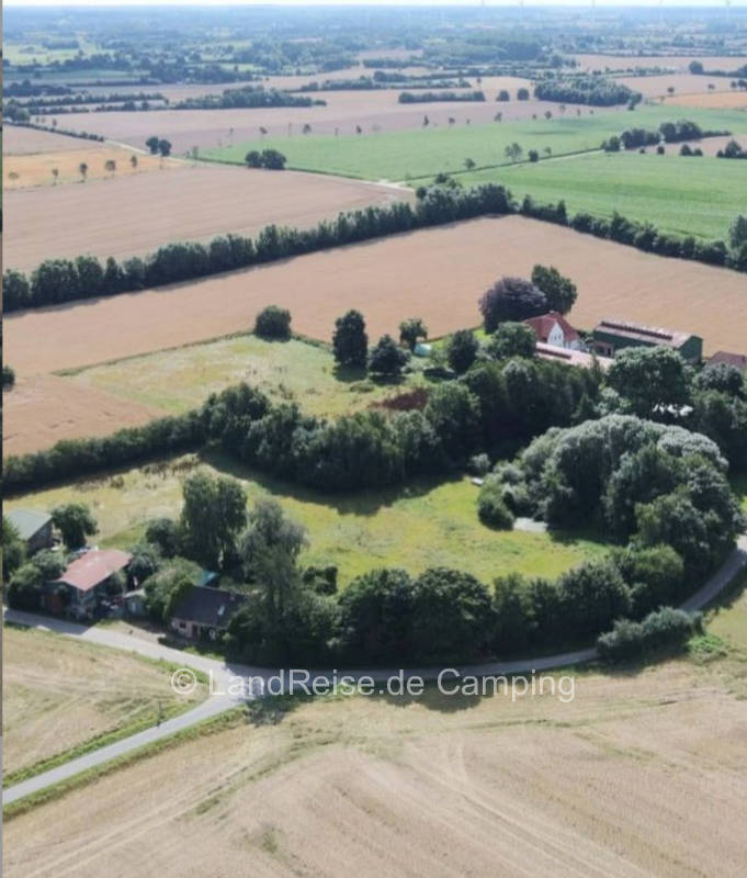 Viking land wild meadow