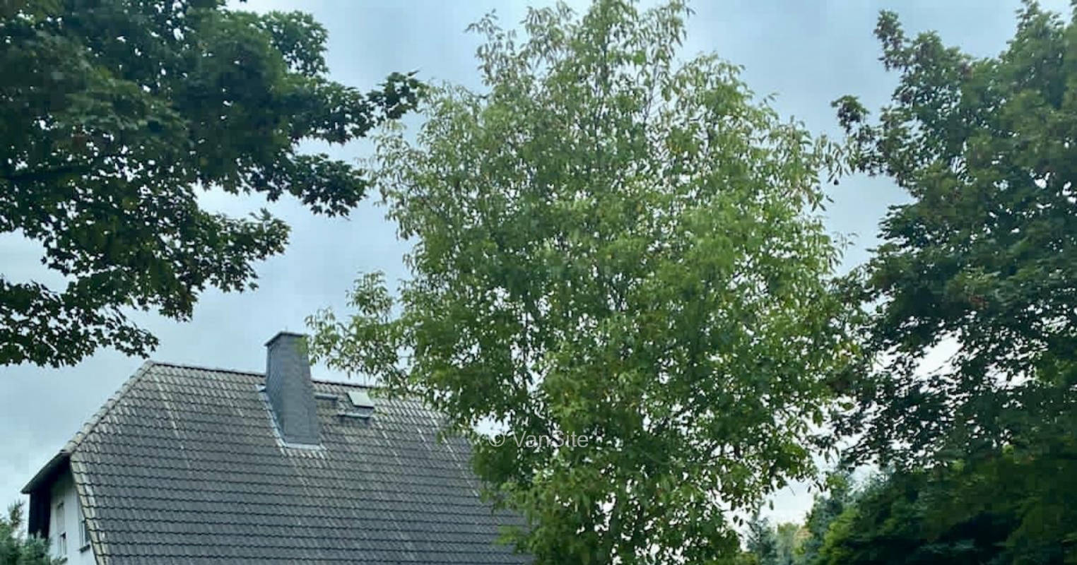 Idyllische Ruhe im Grünen direkt an der Autobahn