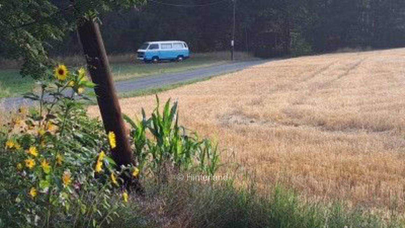 Übernachten auf der Wiese am Lamahof