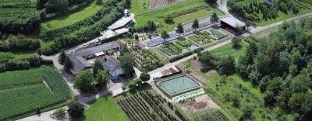 Wiese mit freiem Blick ins Elsass...