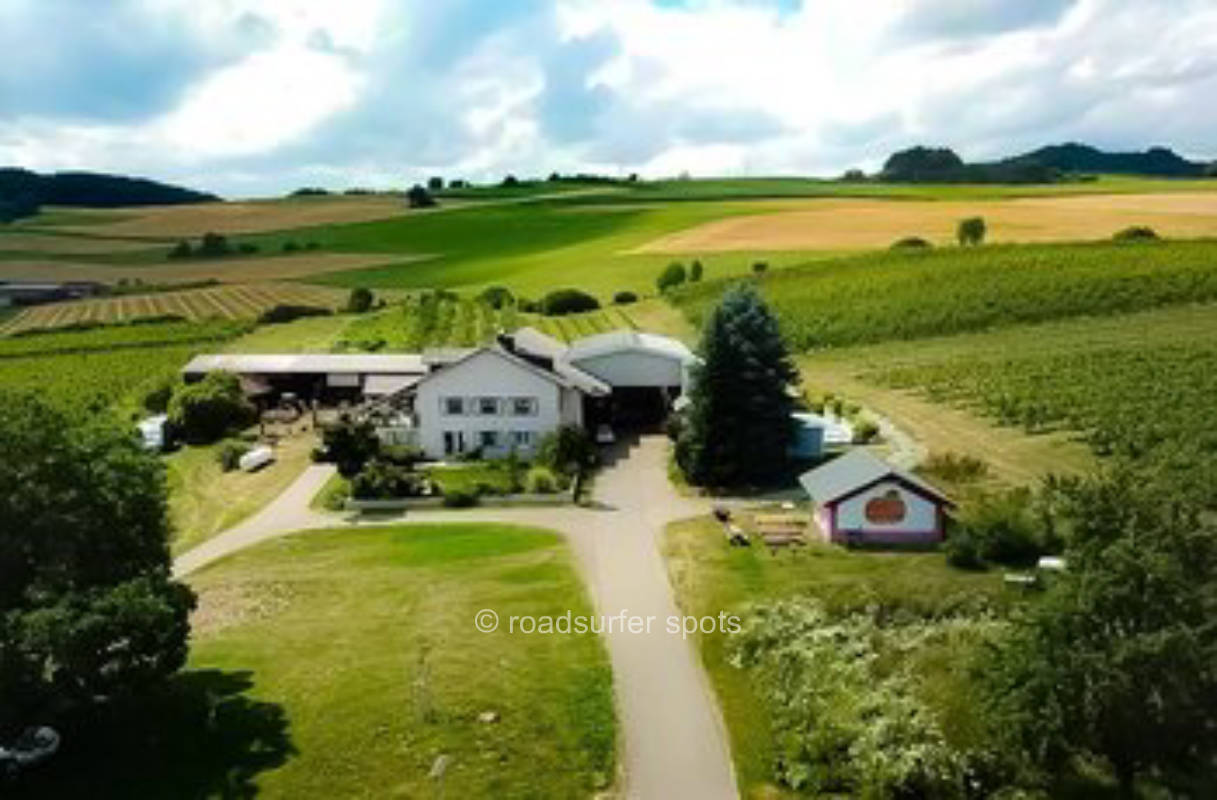 Anhöhe mit Alpenblick in der Nähe der Obstplantage