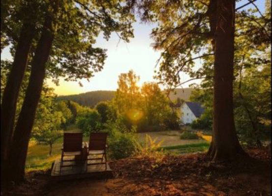 Nature-inspired camping in the Palatinate Forest