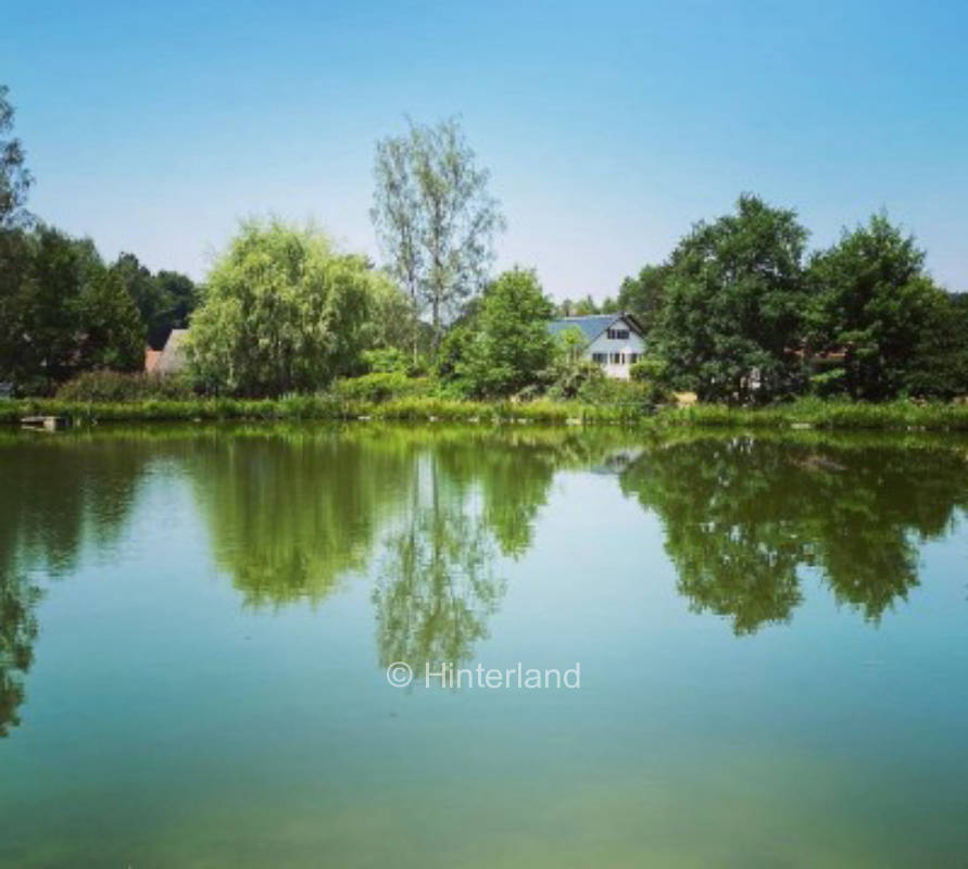 Am Waldrand und kleinen See: Ferien am Mühlweiher