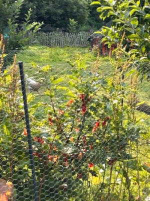 Private Zeltplätze in der Lüneburger Heide 