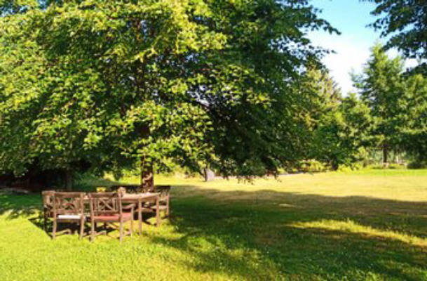 Camping auf der Wiese mit Naturteich