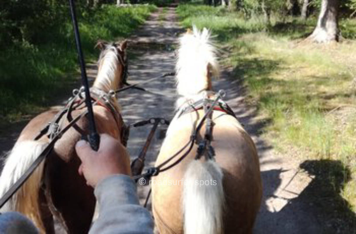 Courtyard square between the barns