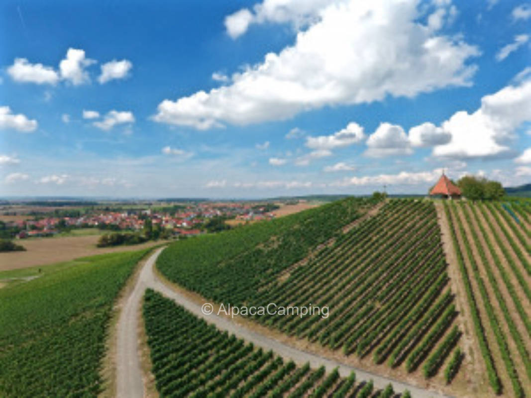 Above our vineyards with 360° panorama on the top of Herrenberg #1