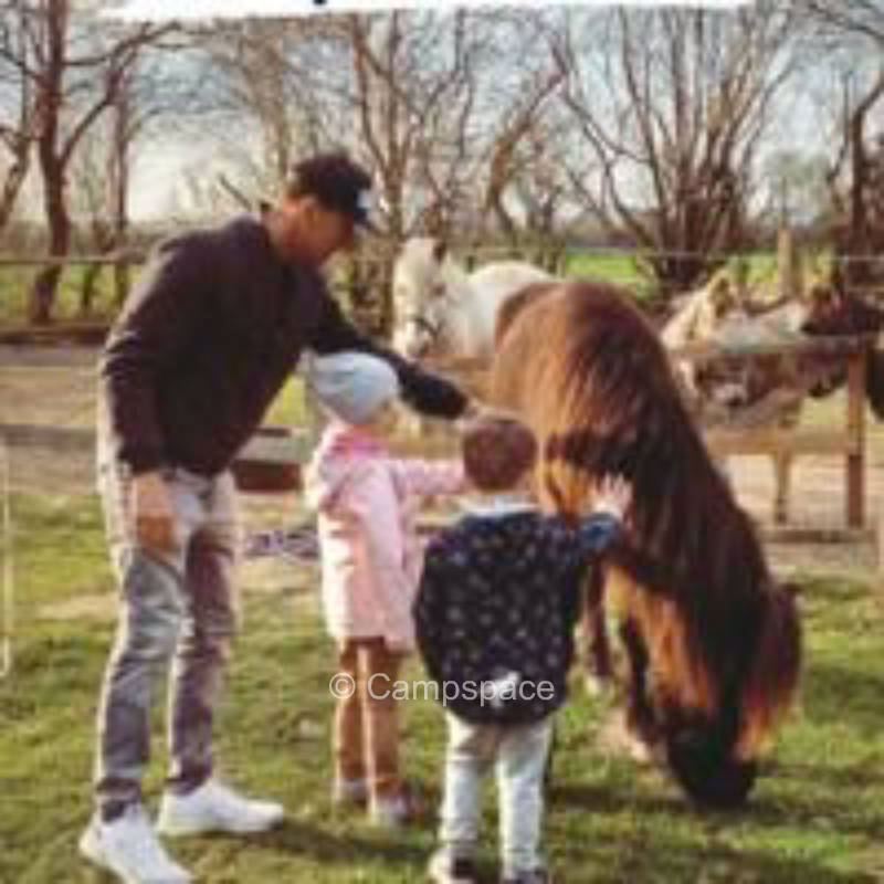 Hoppelino the hay hostel at Sachsenwald