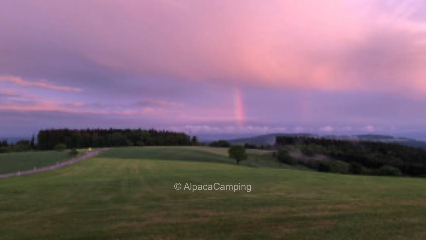 Pure panorama #3