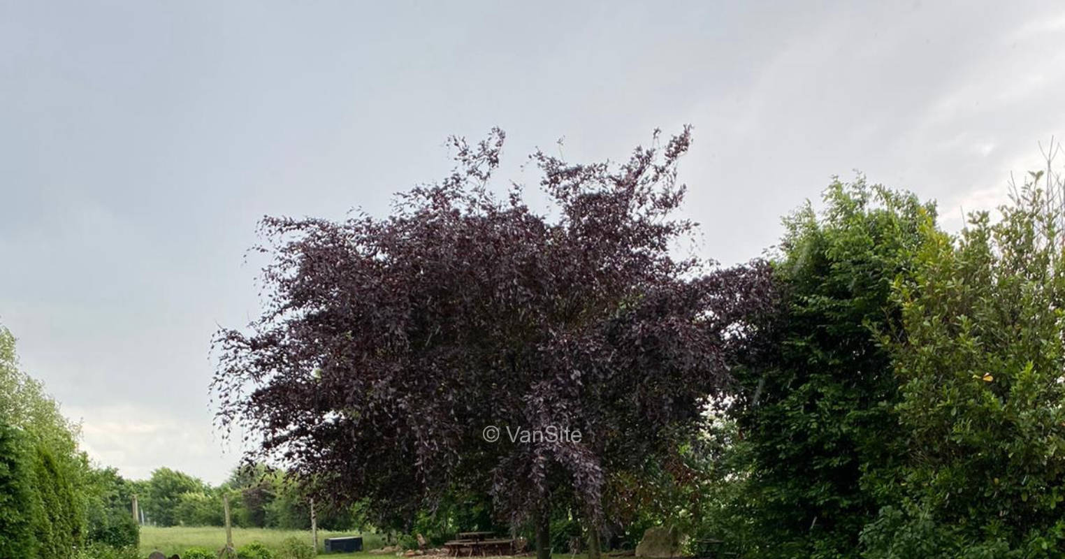Idyllic garden/square by the ostrich pasture